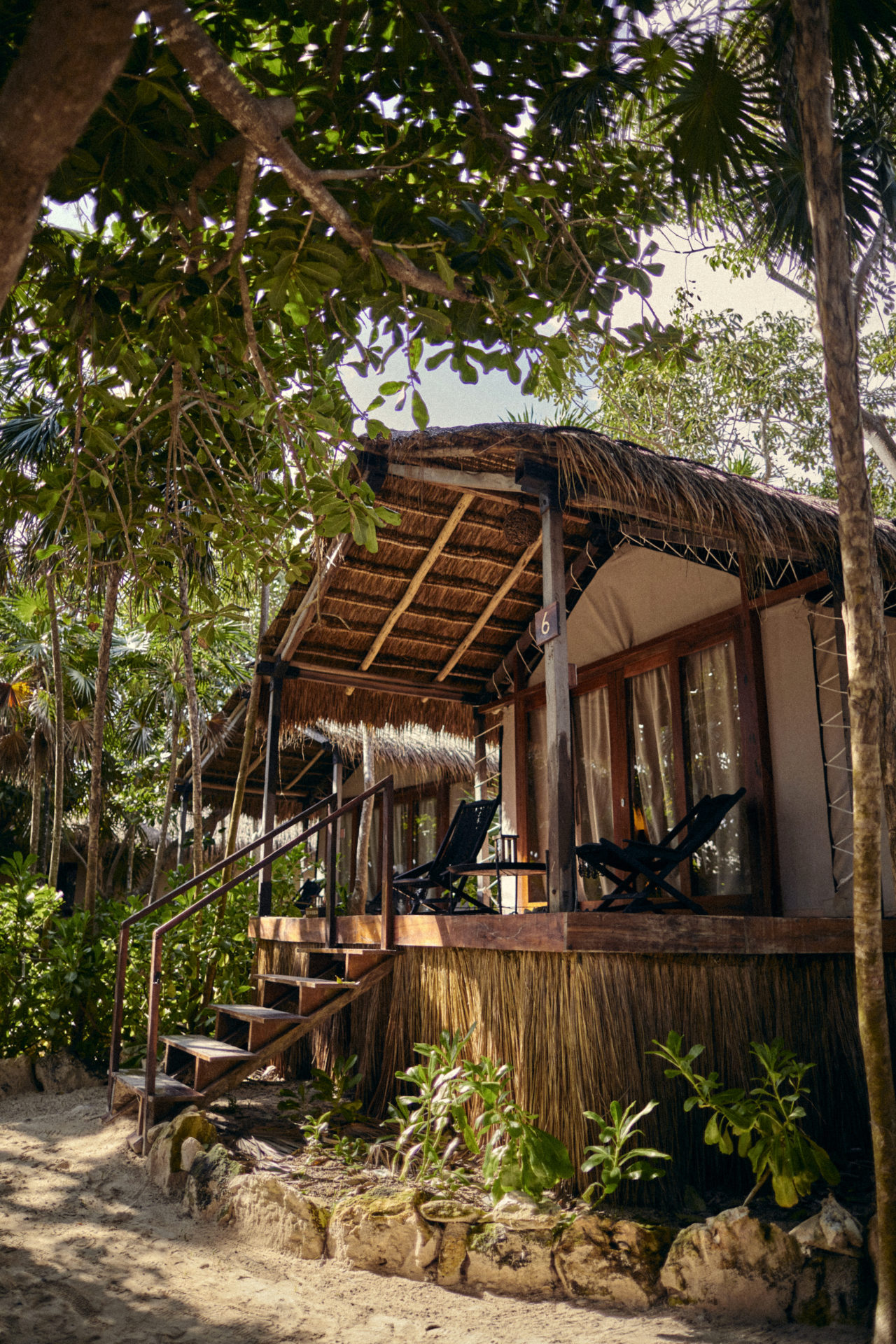 Jungle Room