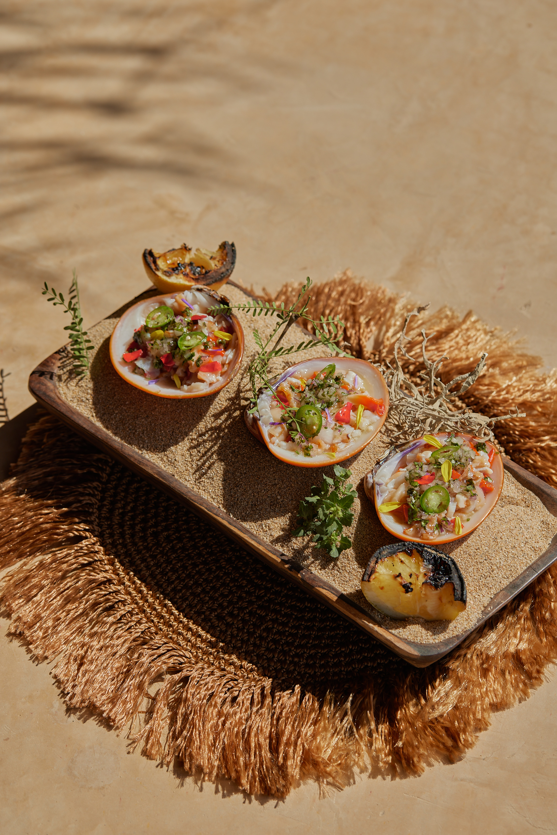 Our Habitas Todos Santos — photo 5