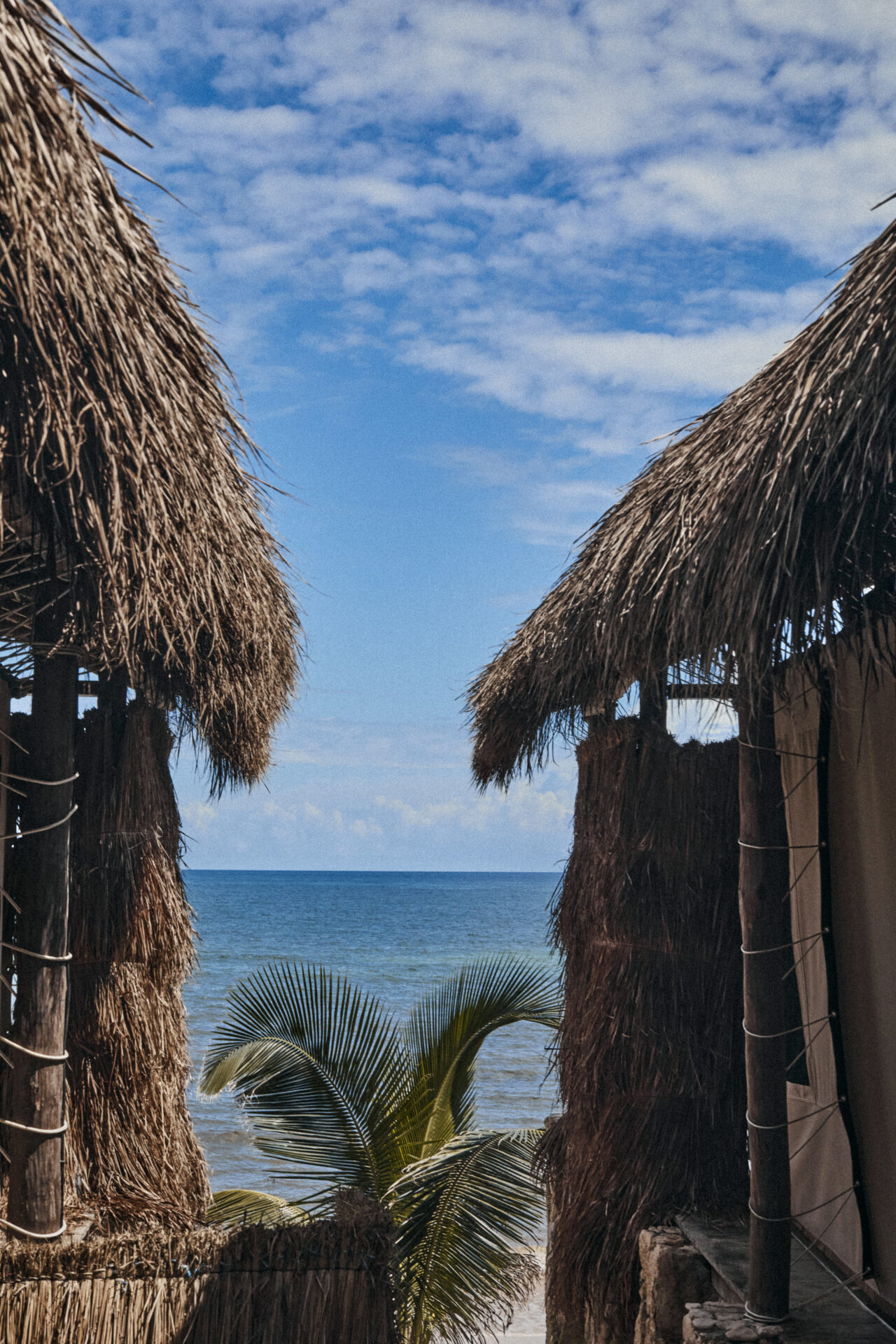 Ocean Breeze Room