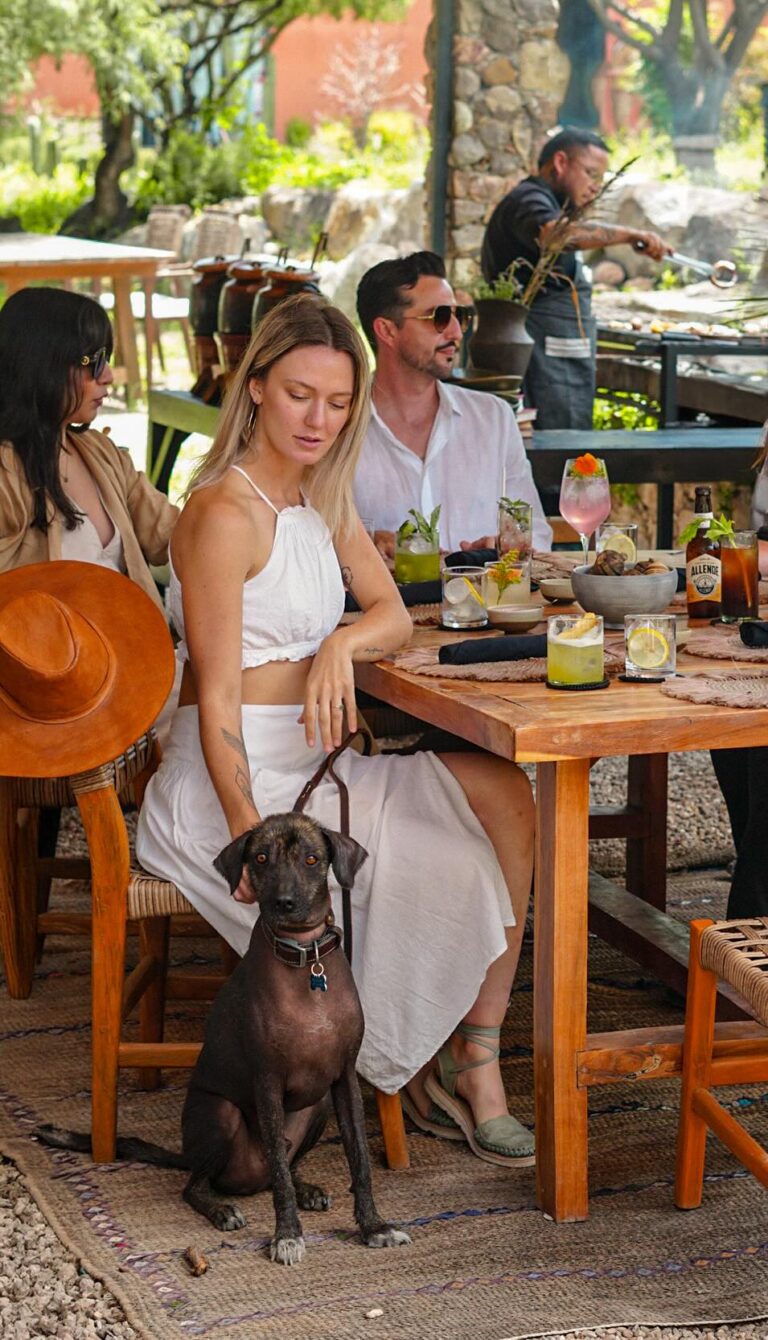 a woman sitting down at a table with her dog on a leash