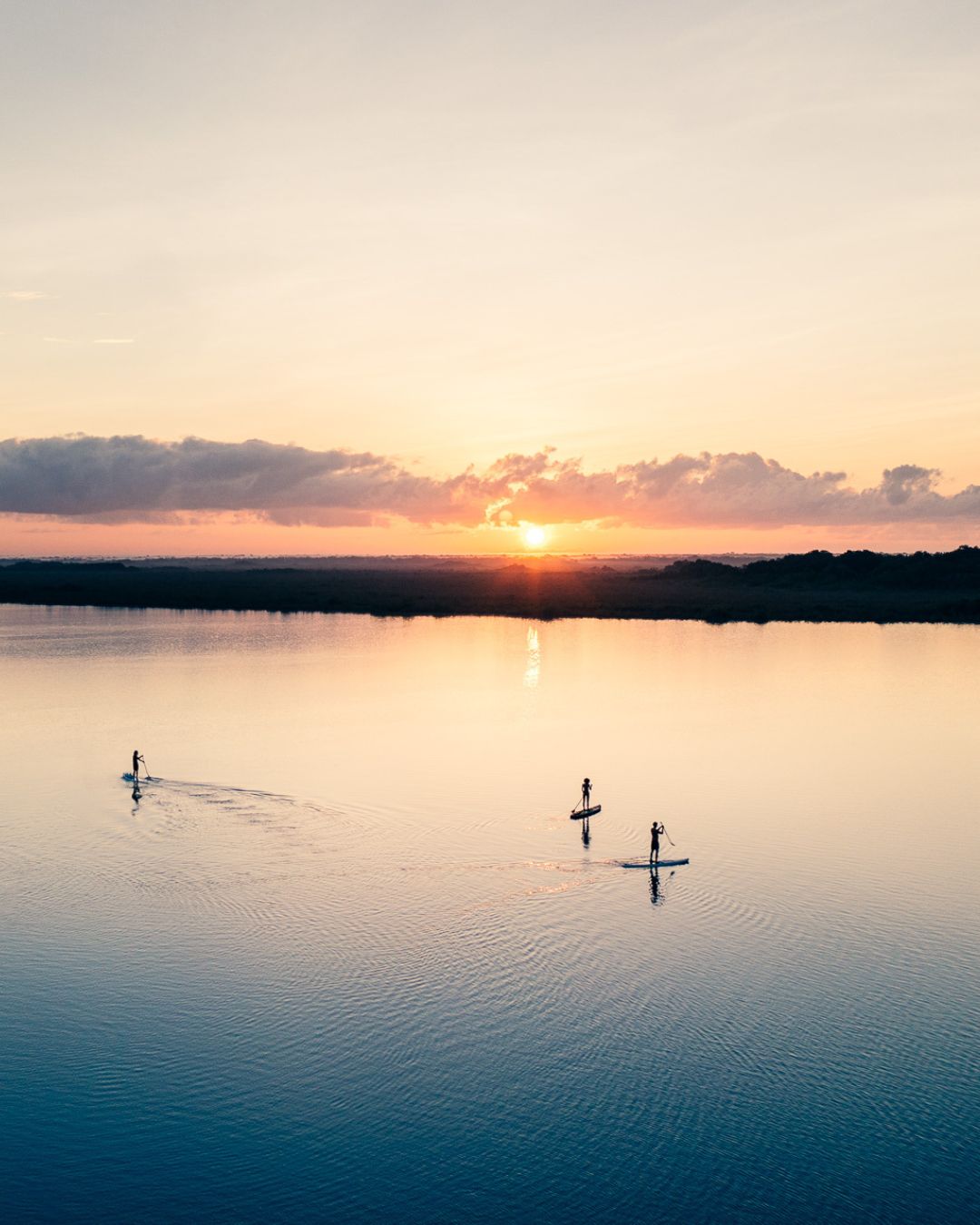 Early Bird